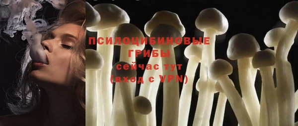 амф Абаза