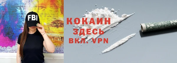 дживик Абинск