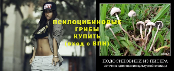 дживик Абинск