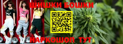 jwh Ставрополь