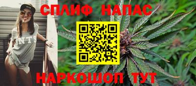jwh Ставрополь